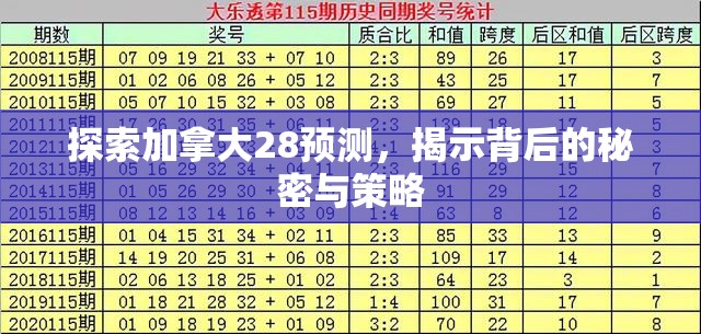 探索加拿大28预测，揭示背后的秘密与策略