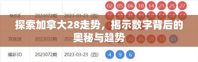 探索加拿大28走势，揭示数字背后的奥秘与趋势