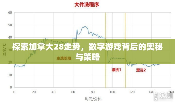 探索加拿大28走势，数字游戏背后的奥秘与策略