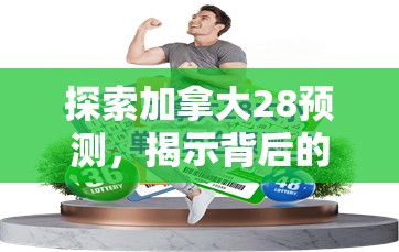 探索加拿大28预测，揭示背后的秘密与策略