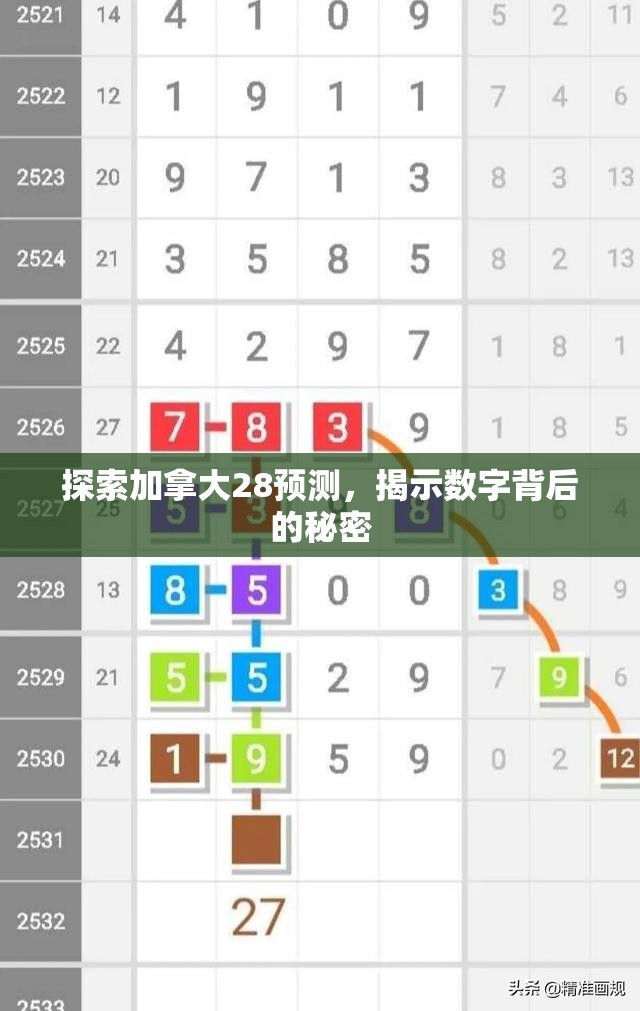 探索加拿大28预测，揭示数字背后的秘密