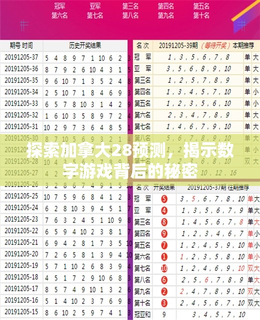 探索加拿大28预测，揭示数字游戏背后的秘密