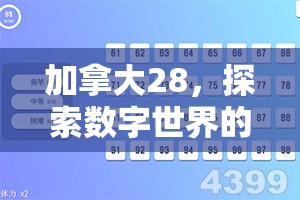 加拿大28，探索数字世界的新天地