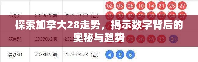 探索加拿大28走势，揭示数字背后的奥秘与趋势