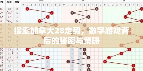 探索加拿大28走势，数字游戏背后的秘密与策略