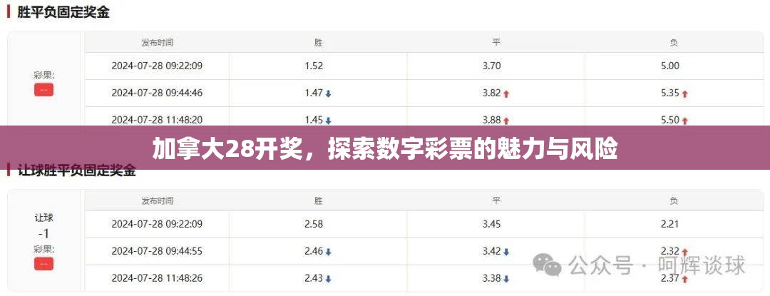 加拿大28开奖，探索数字彩票的魅力与风险