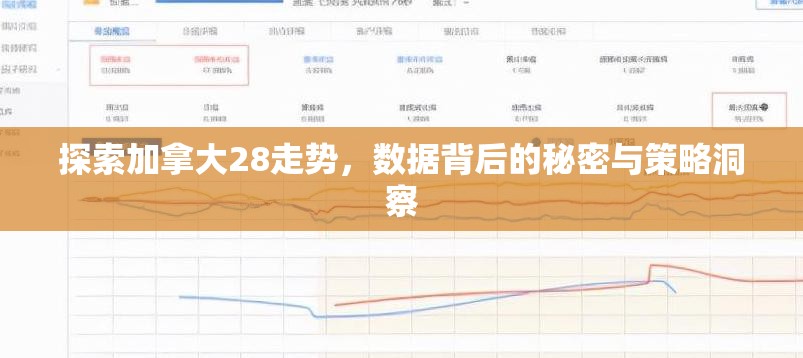 探索加拿大28走势，数据背后的秘密与策略洞察