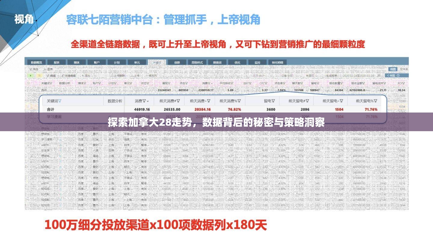 探索加拿大28走势，数据背后的秘密与策略洞察