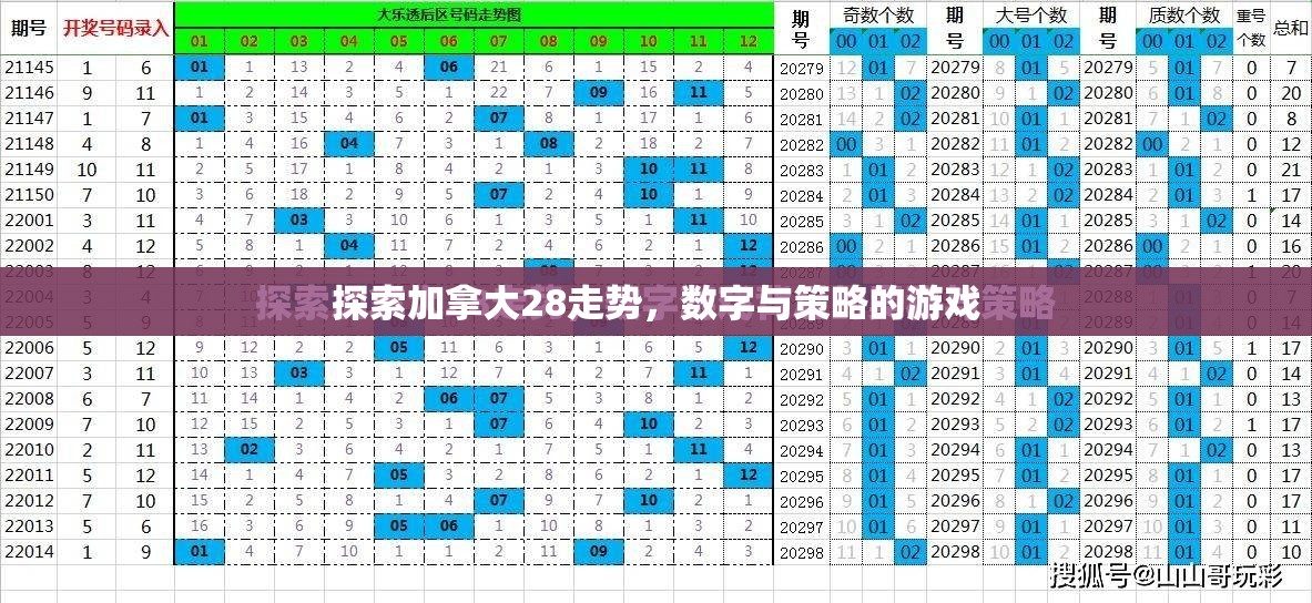 探索加拿大28走势，数字与策略的游戏