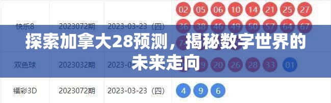 探索加拿大28预测，揭秘数字世界的未来走向