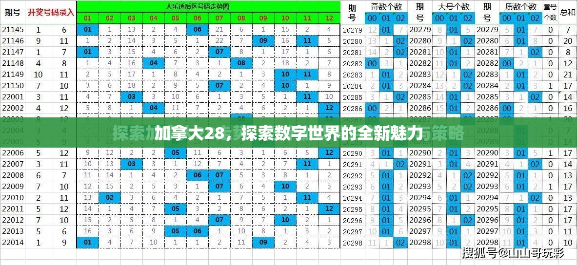 加拿大28，探索数字世界的全新魅力