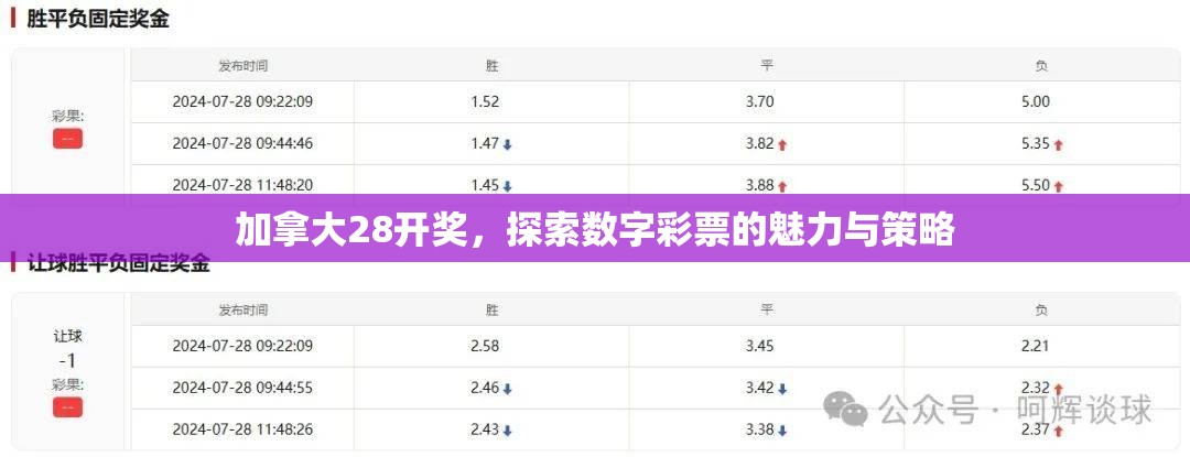 加拿大28开奖，探索数字彩票的魅力与策略