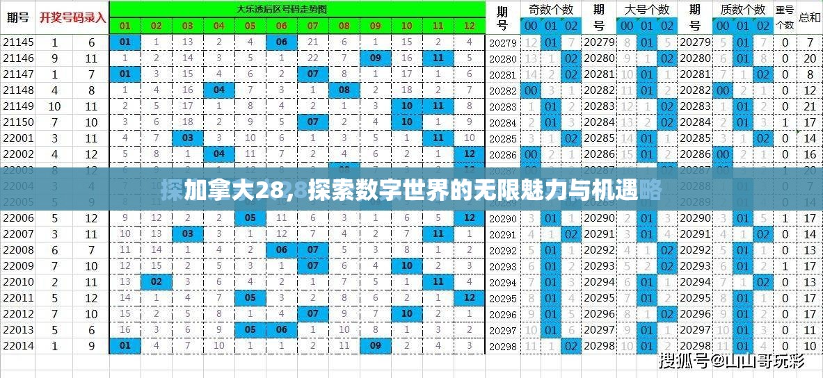 加拿大28，探索数字世界的无限魅力与机遇