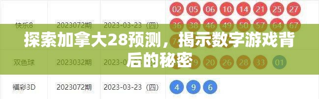 探索加拿大28预测，揭示数字游戏背后的秘密