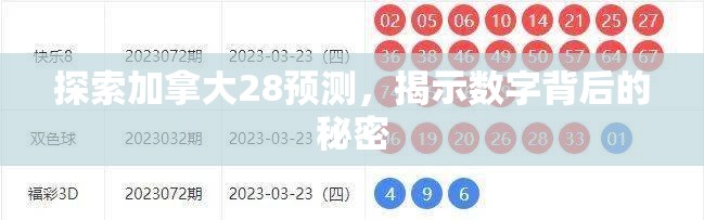 探索加拿大28预测，揭示数字背后的秘密