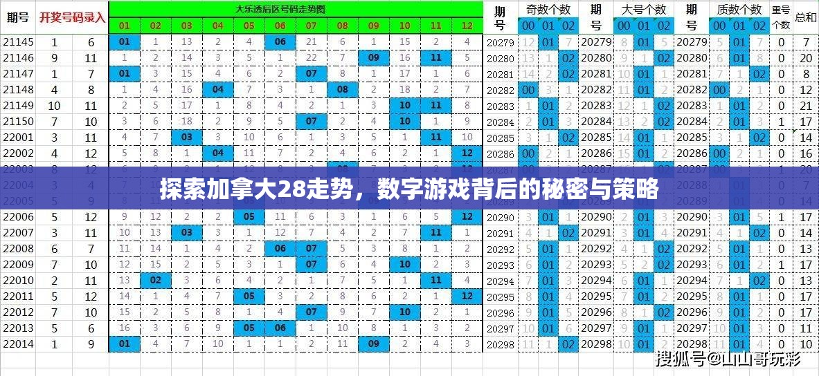 探索加拿大28走势，数字游戏背后的秘密与策略