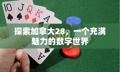 探索加拿大28，一个充满魅力的数字世界