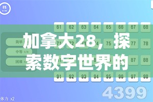 加拿大28，探索数字世界的新乐趣