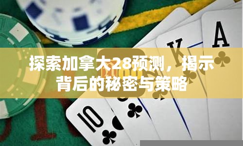 探索加拿大28预测，揭示背后的秘密与策略