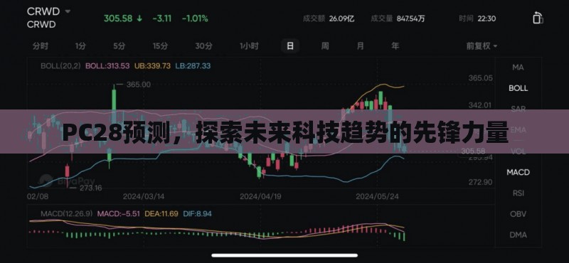 PC28预测，探索未来科技趋势的先锋力量