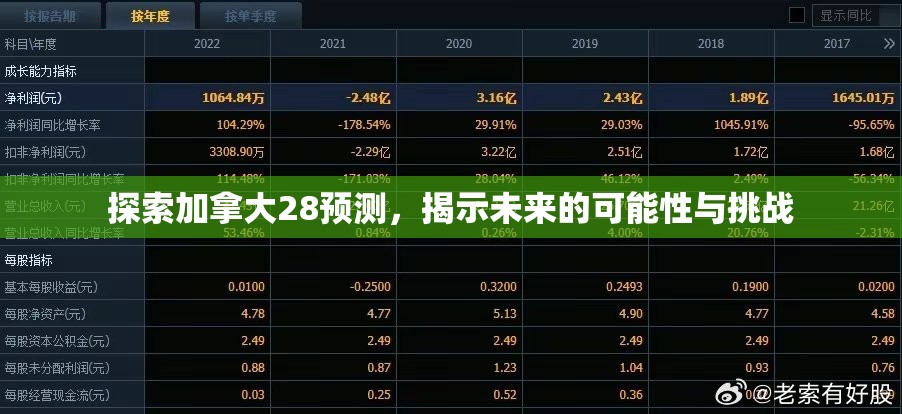 探索加拿大28预测，揭示未来的可能性与挑战