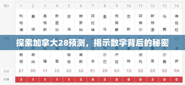 探索加拿大28预测，揭示数字背后的秘密