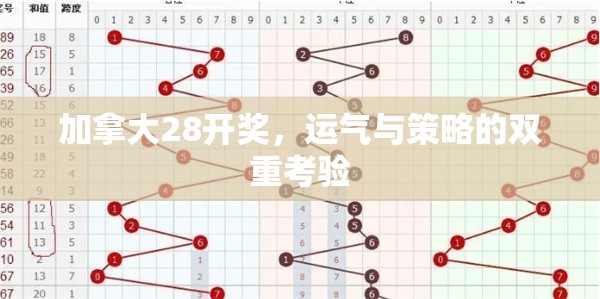 加拿大28开奖，运气与策略的双重考验