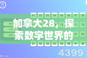 加拿大28，探索数字世界的新乐趣