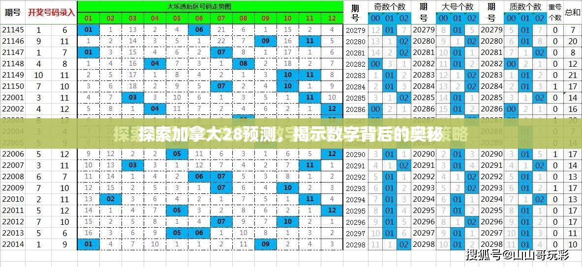 探索加拿大28预测，揭示数字背后的奥秘